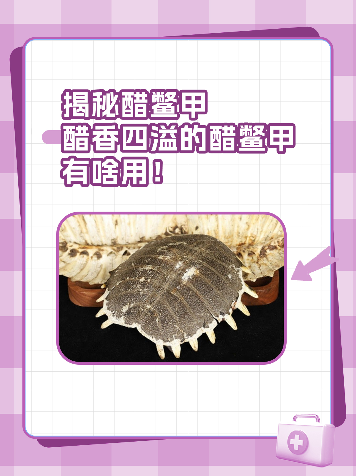 揭秘醋鳖甲—醋香四溢的醋鳖甲的功效与作用