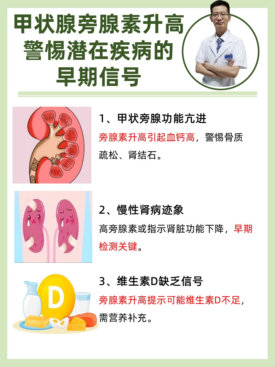 甲状腺旁腺素升高：警惕潜在疾病的早期信号