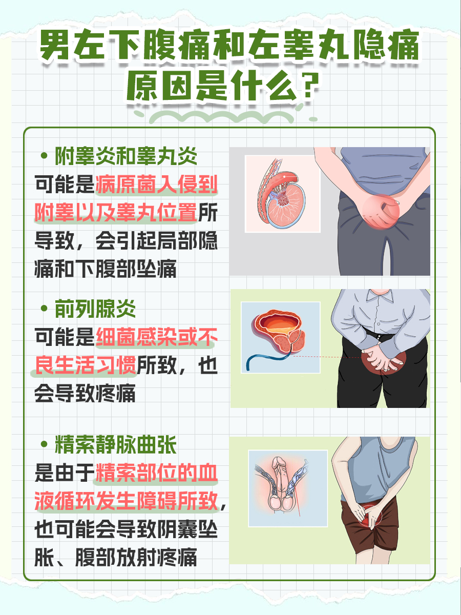 男性左下腹和左睾丸隐痛，我来告诉你原因