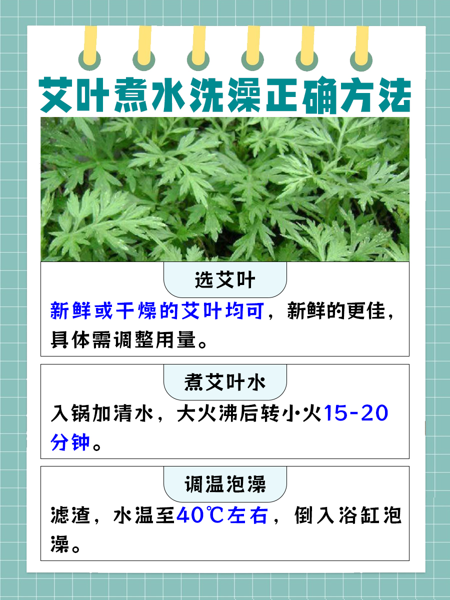 艾叶煮水洗澡，正确方法大公开！