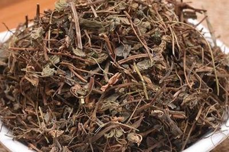 三叶酸草药材图