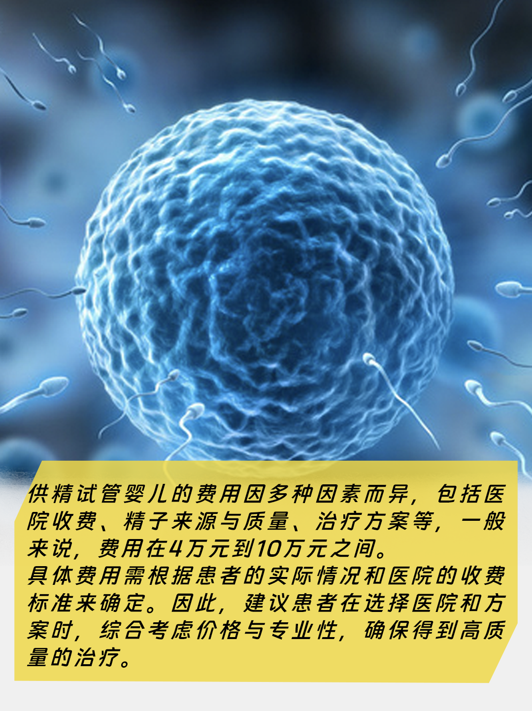 供精试管婴儿需要多少费用，看完你就知道了！