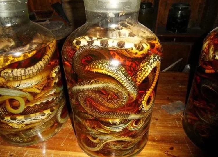 蛇酒.jpg