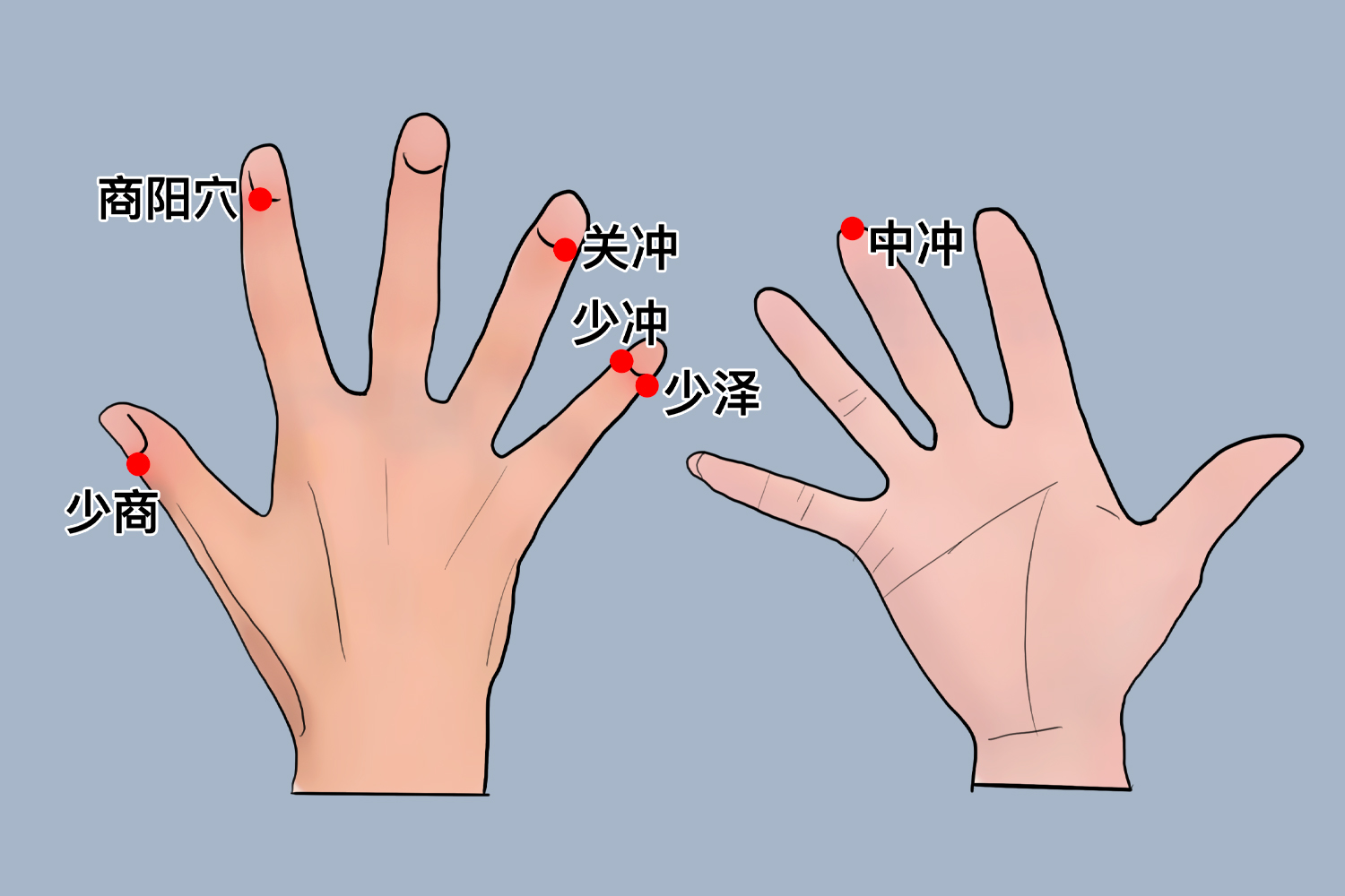 十二井穴位置图