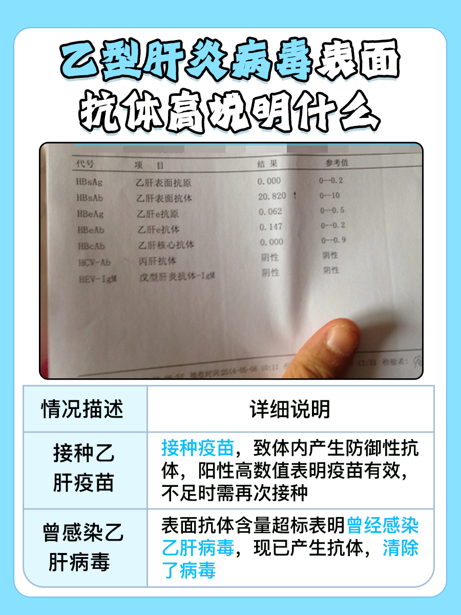 乙型肝炎病毒表面抗体升高之谜:这说明了什么