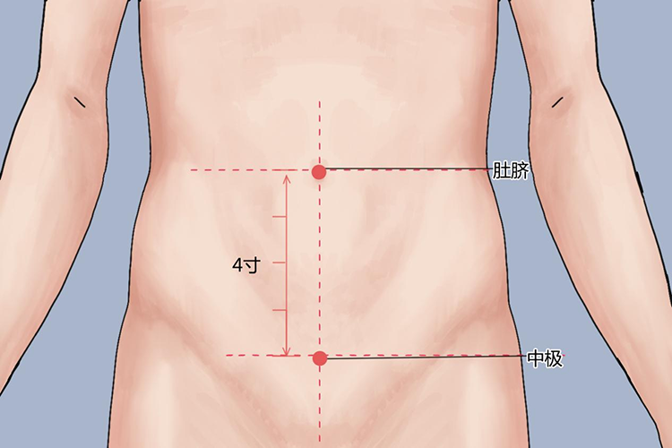 中极穴图