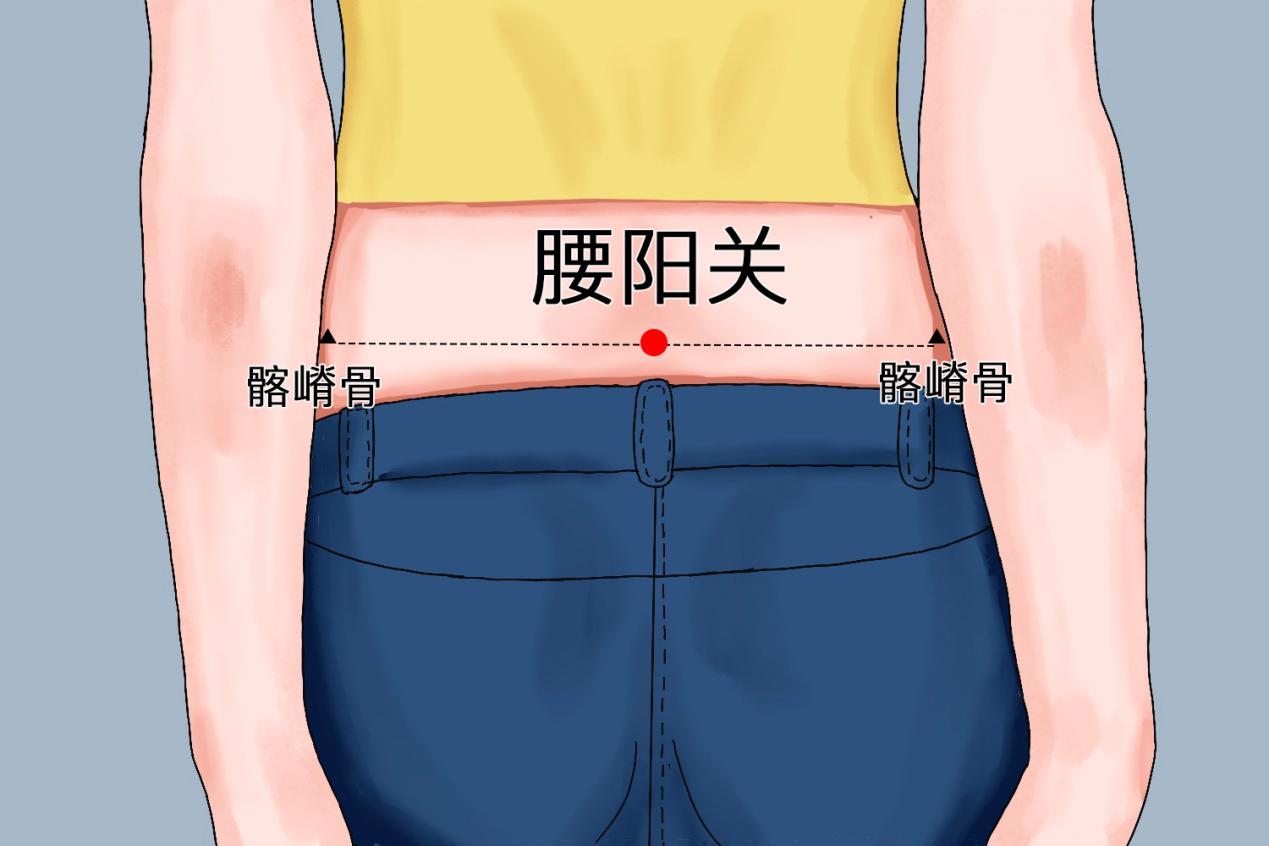 腰肌劳损艾灸位置图