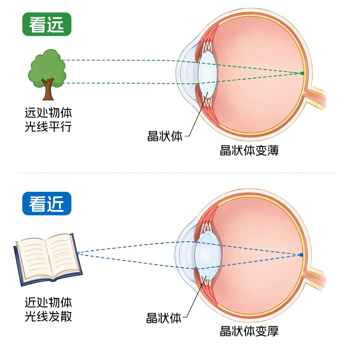 微信图片_2026-10-15_102725_326.jpg