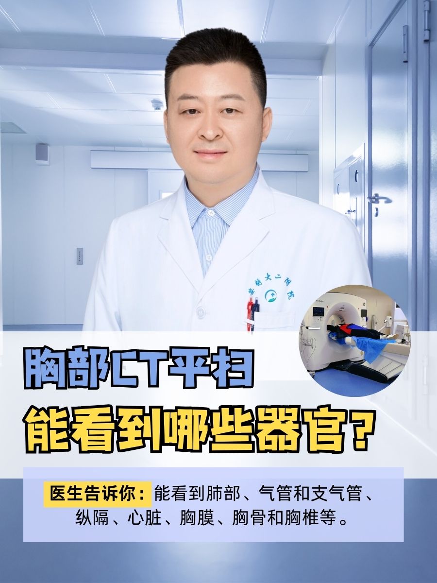 胸部CT平扫能看到哪些器官？医生告诉你