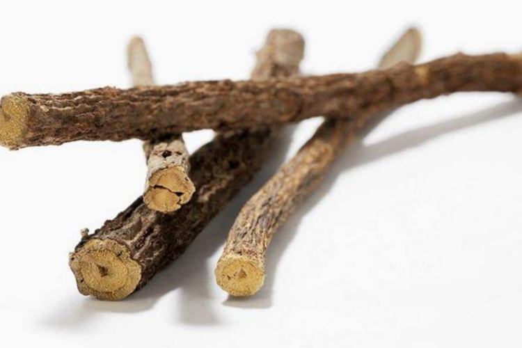 甘草药材性状图 甘草药材性状图