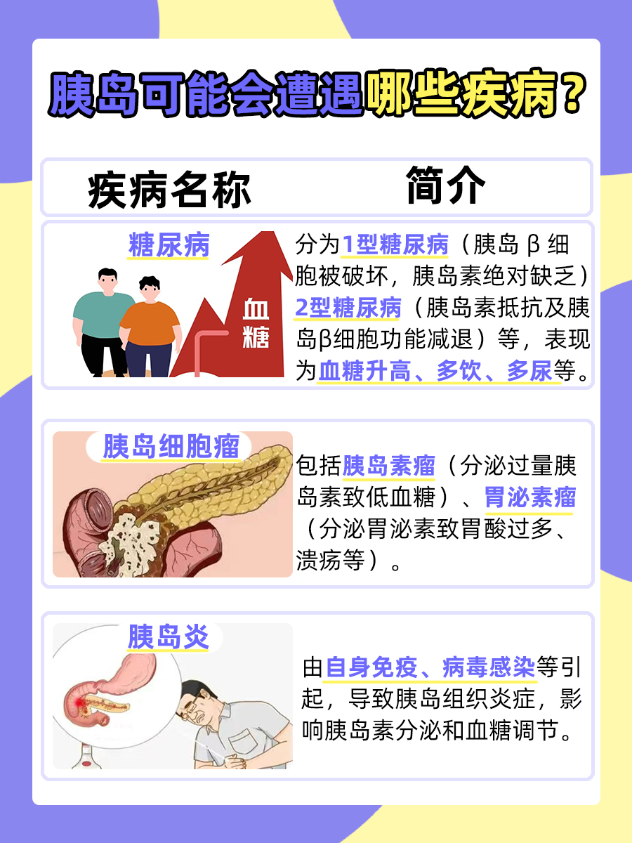 一文解析:胰岛在人的身体哪个部位