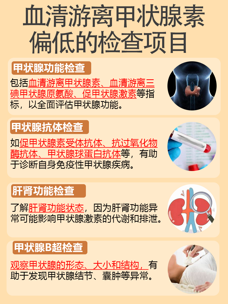 血清游离甲状腺素偏低是什么意思？一文告诉你