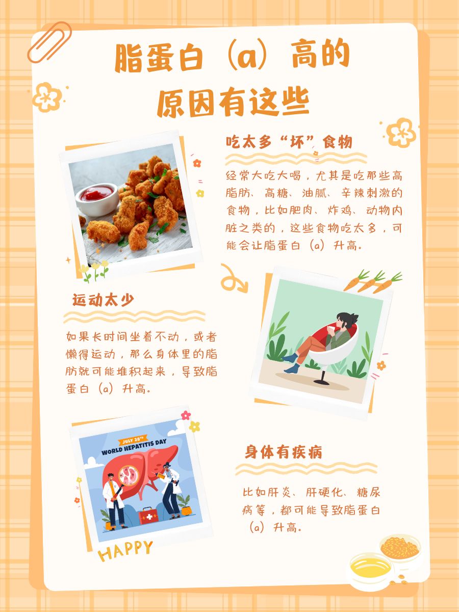 体检查出脂蛋白（a）高，到底严不严重