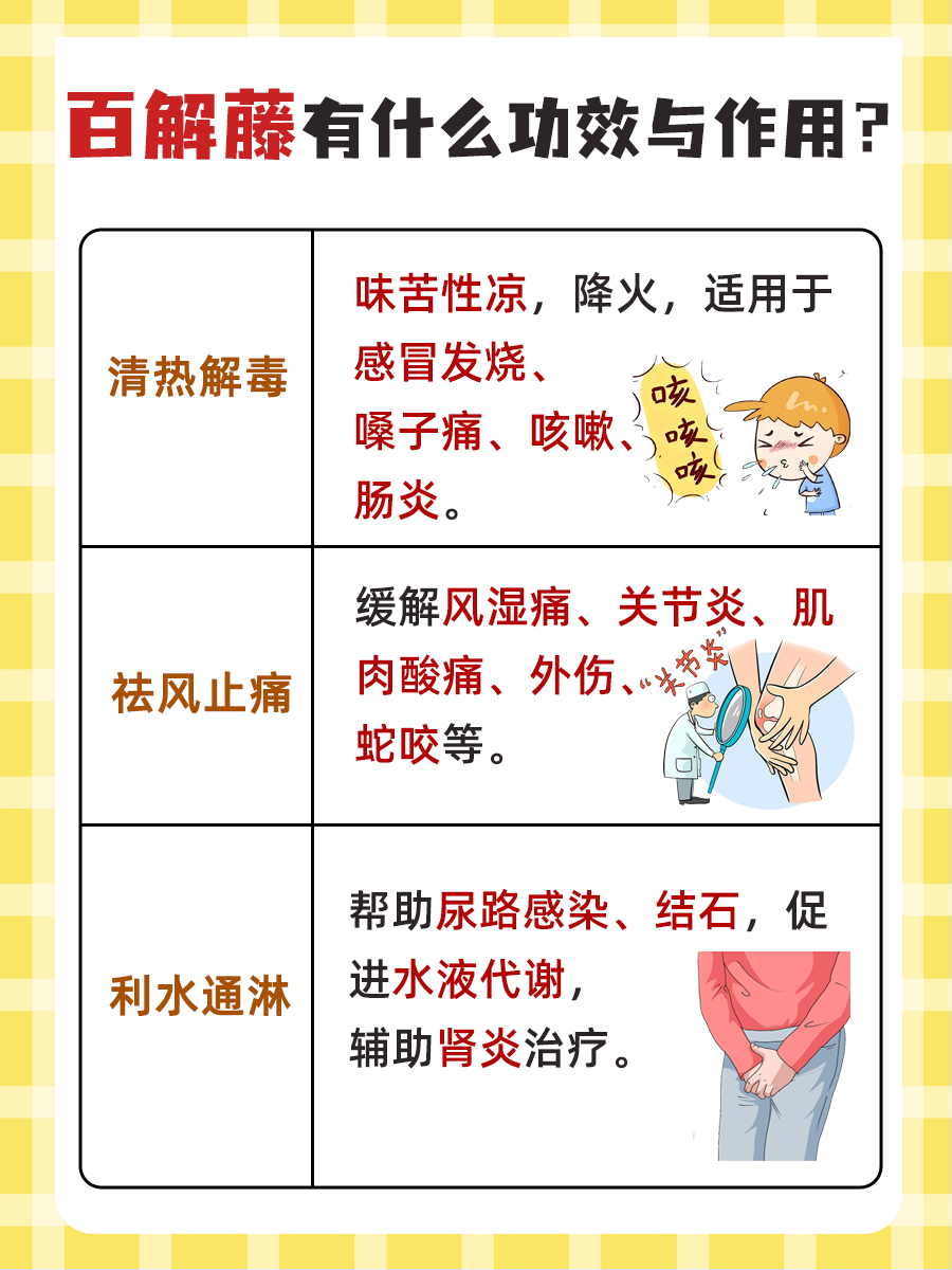 中药大解读:百解藤有什么功效与作用?