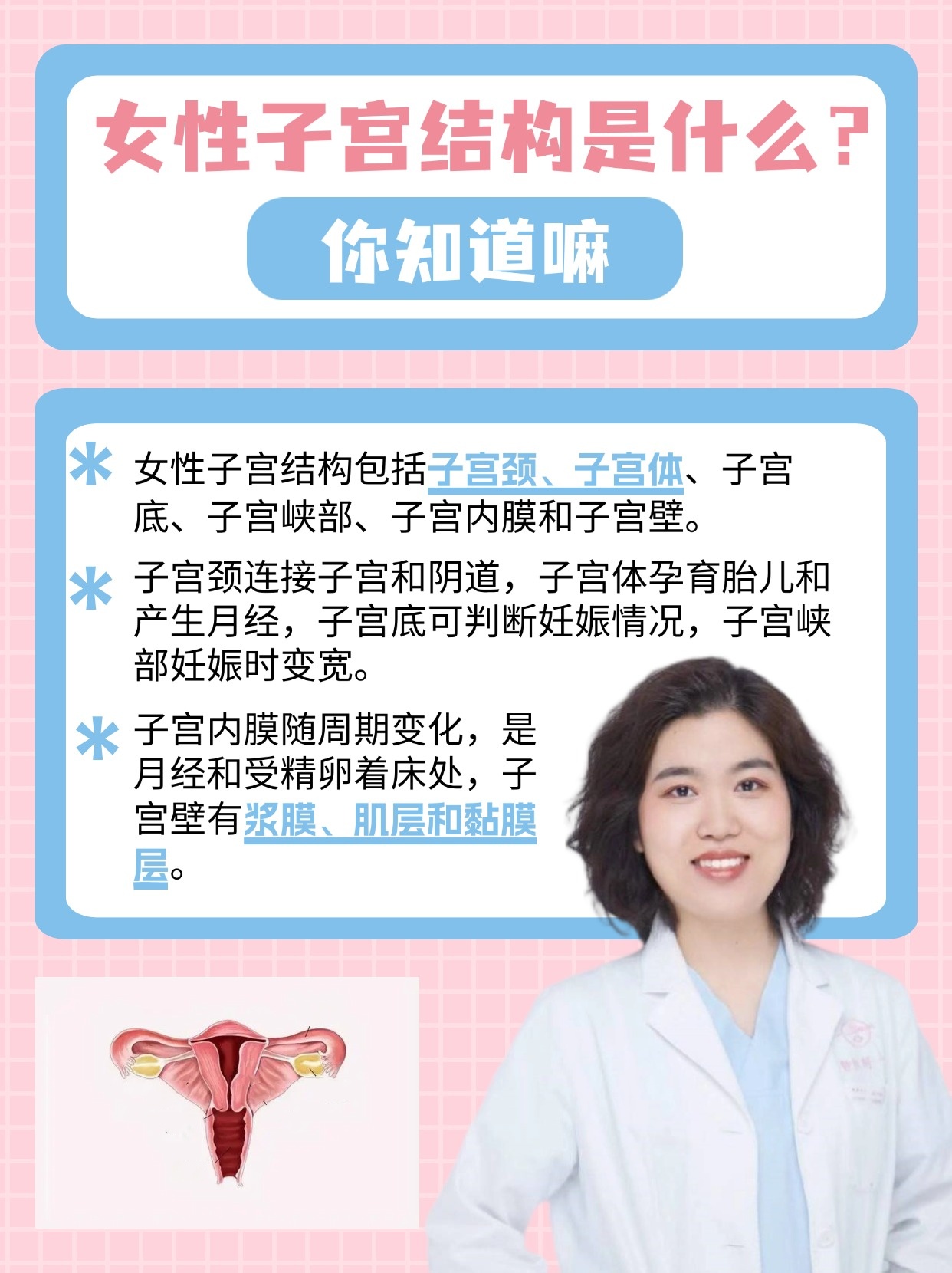 女性子宫结构是什么？你知道嘛