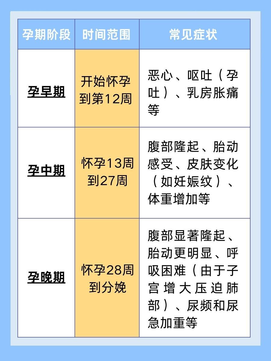 孕早期、孕中期、孕晚期怎么分?看完这篇就懂了