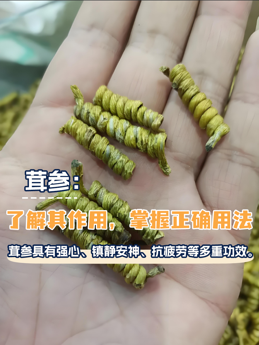 茸参：了解其作用，掌握正确用法