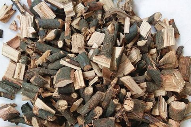 石楠藤入药图 石楠藤入药图