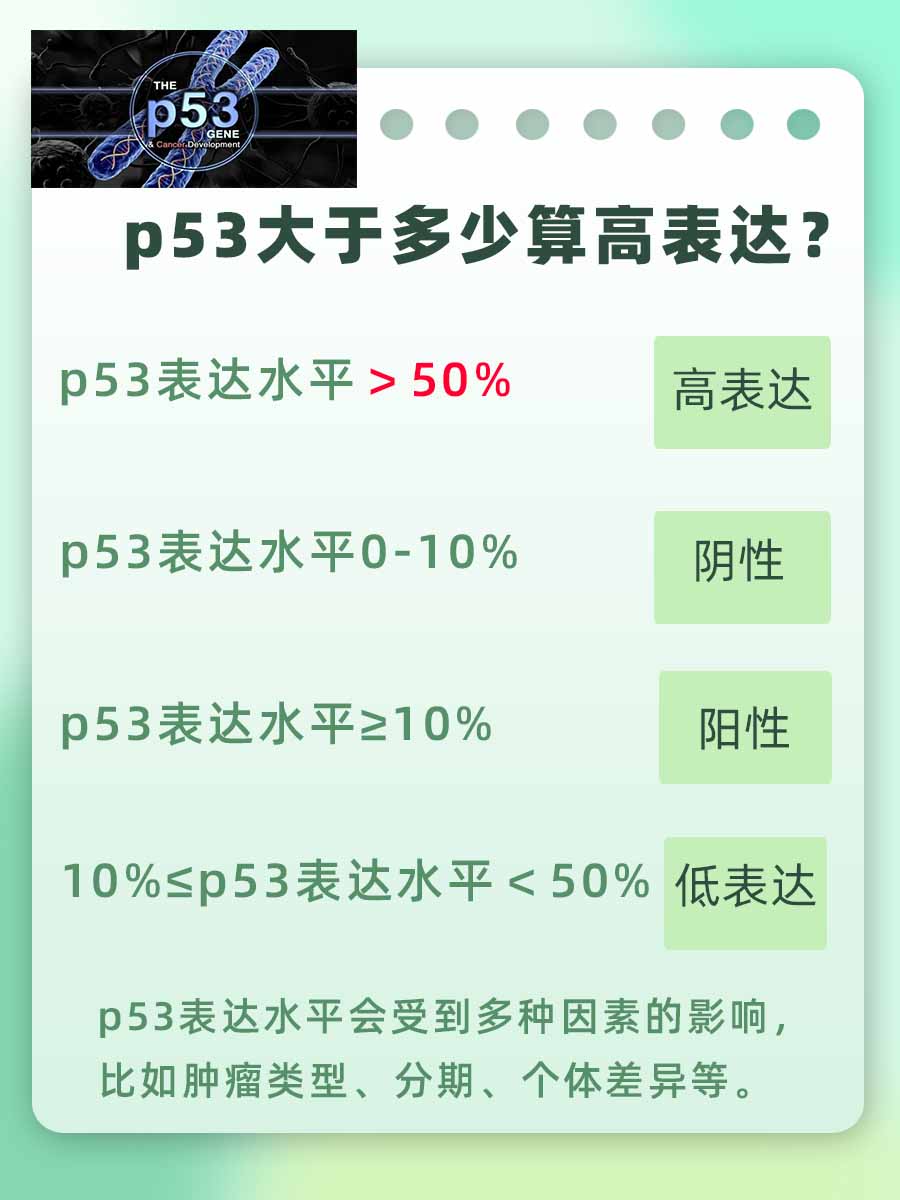 解析p53高表达标准：多少数值为临界值？