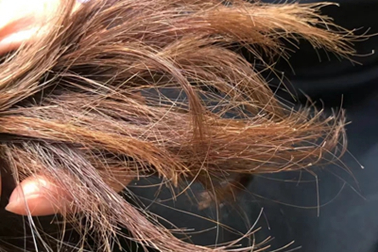 头发分叉发丝很乱图