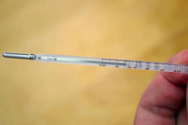 体温计看法图 体温计看法图