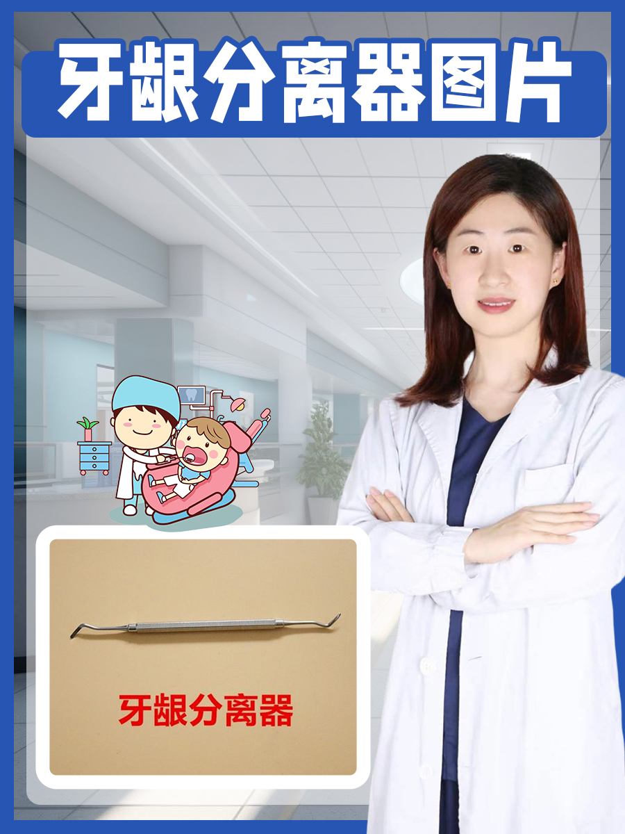 牙龈分离器图片