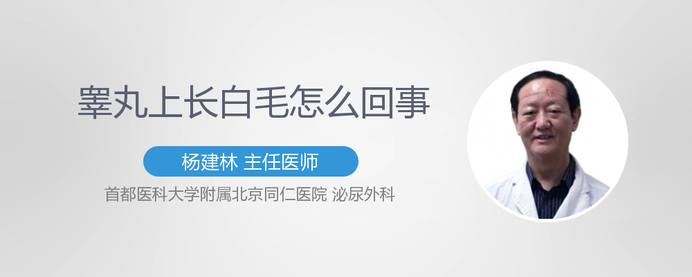 睾丸上长白毛怎么回事 有来医生