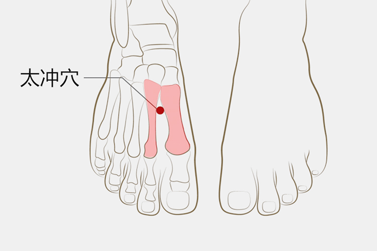 脚底太冲位置图片图片