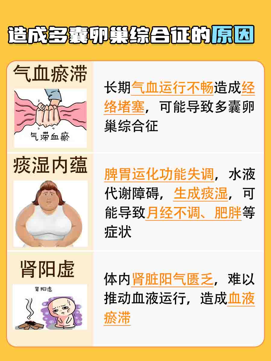 求解：湿气重是多囊产生的原因吗？