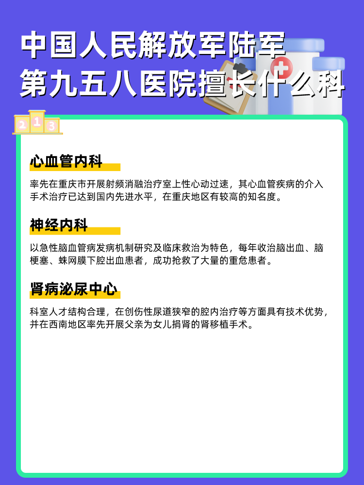 中国人民解放军陆军第九五八医院擅长什么科