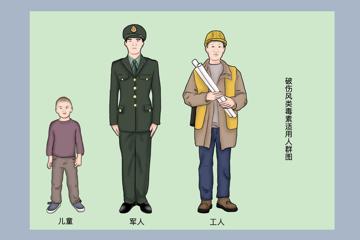 破伤风类毒素适用人群图