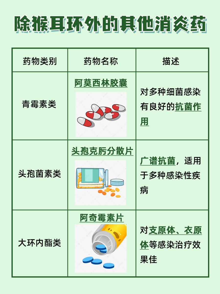 解读：猴耳环能否替代传统消炎药？