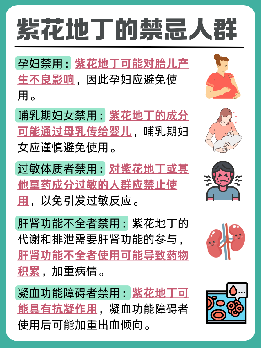 医生解答:紫花地丁的功效与作用