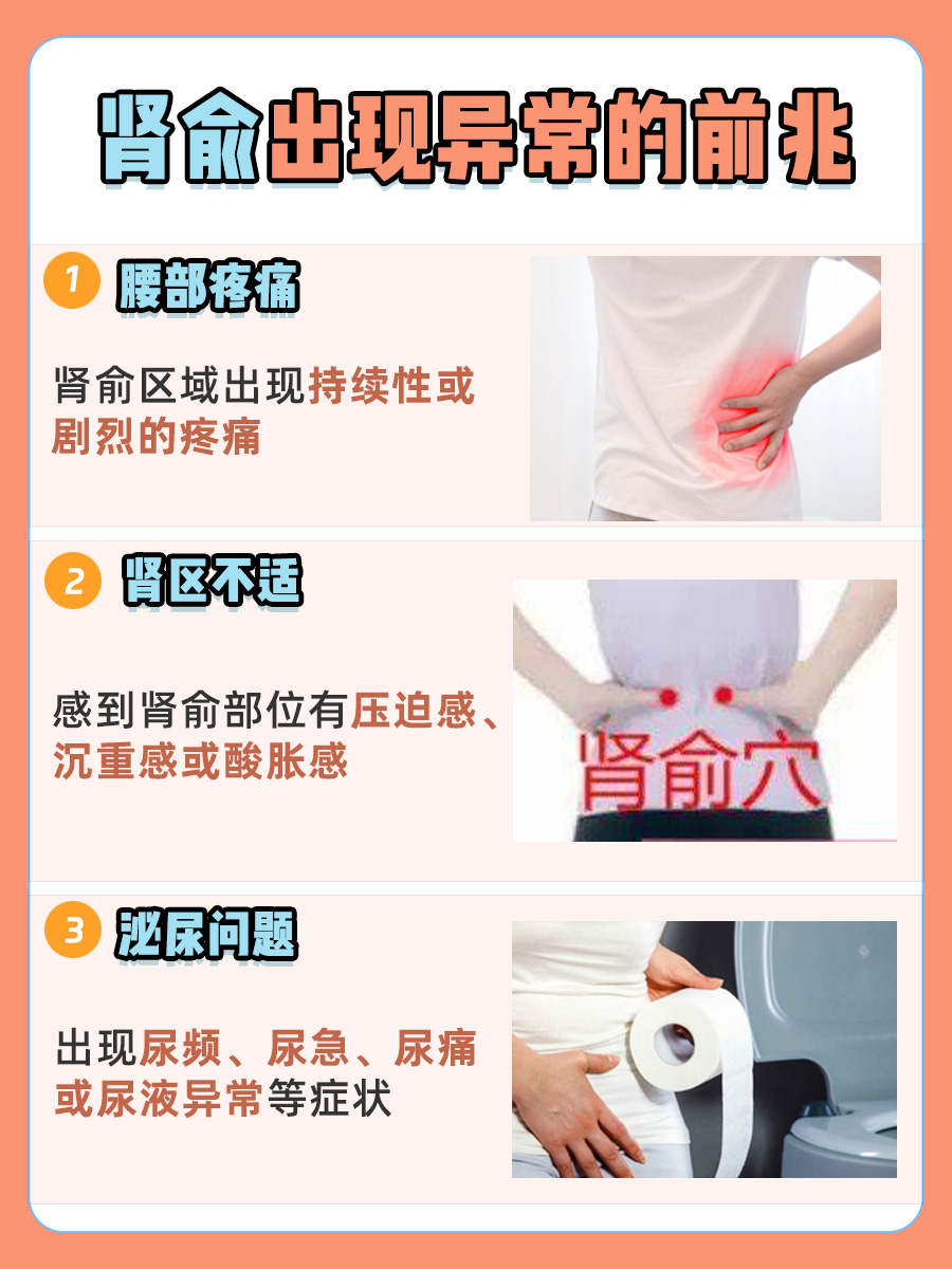 肾俞的位置与作用和功效：一文解答