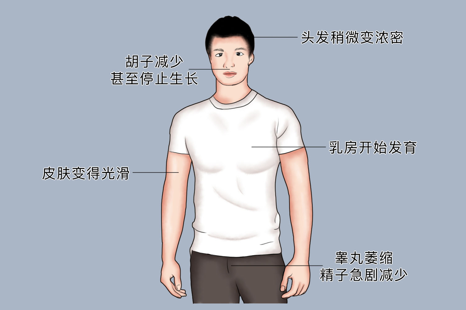 男性长期服用雌激素变化图