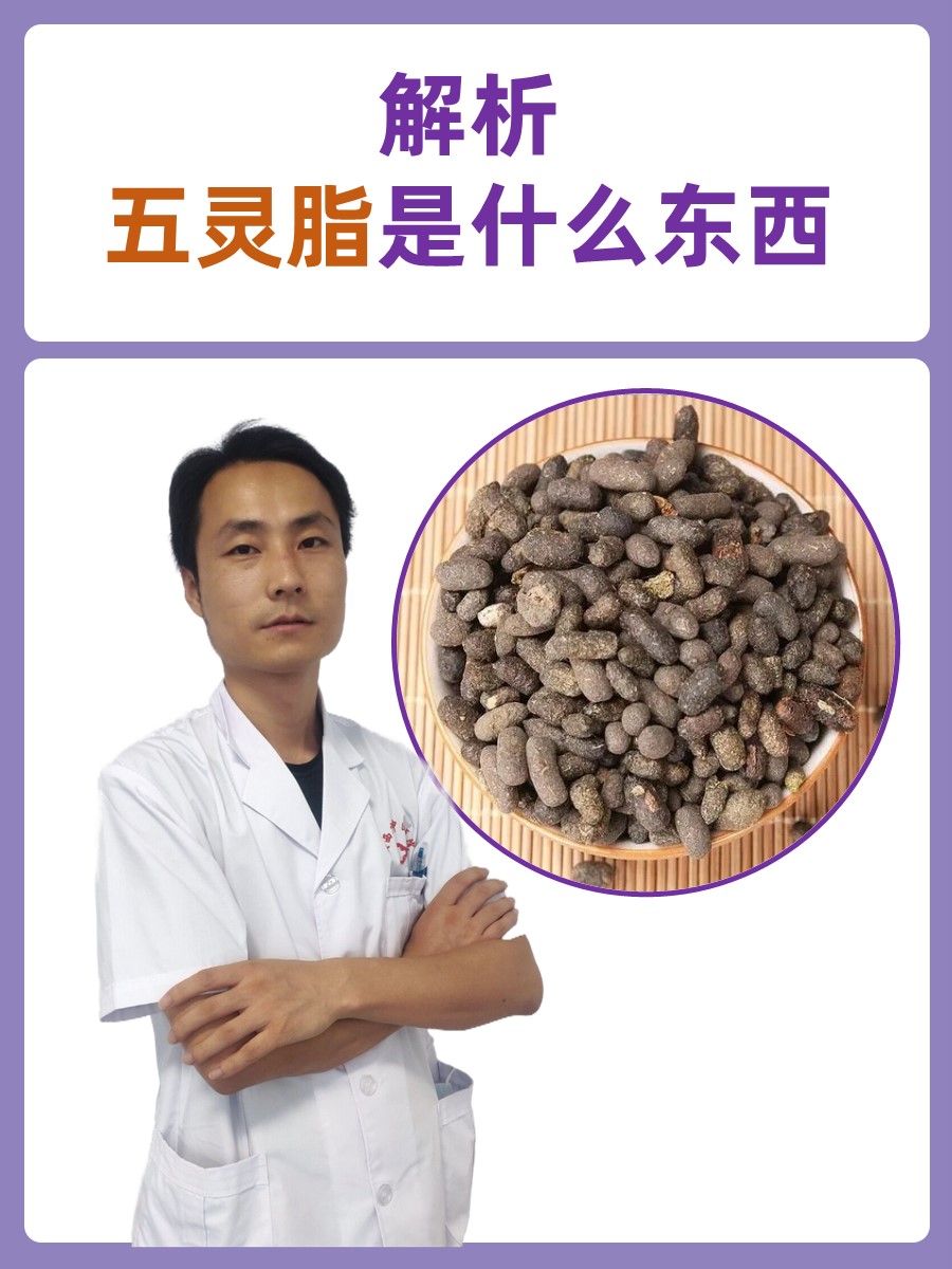 解析：五灵脂是什么东西