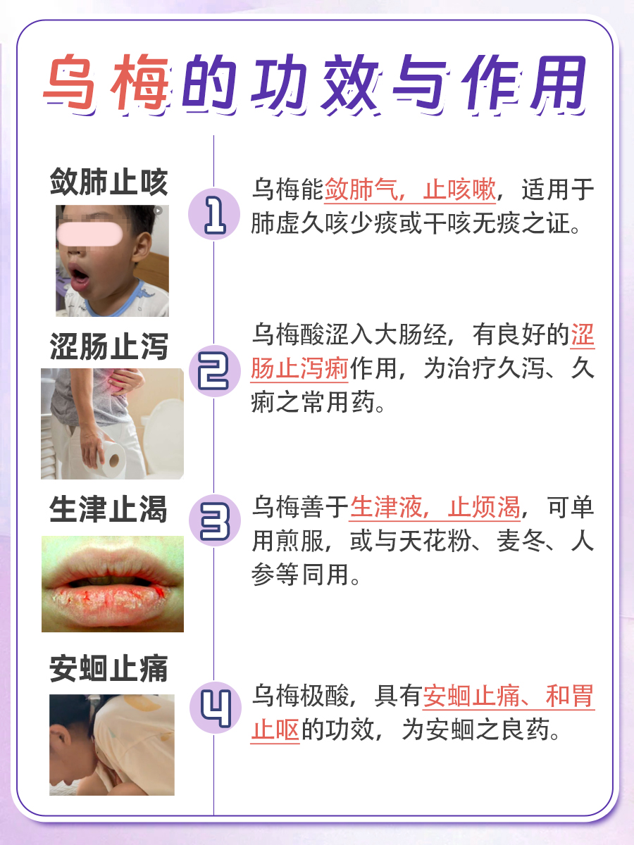 【中药小课堂】乌梅的功效与作用