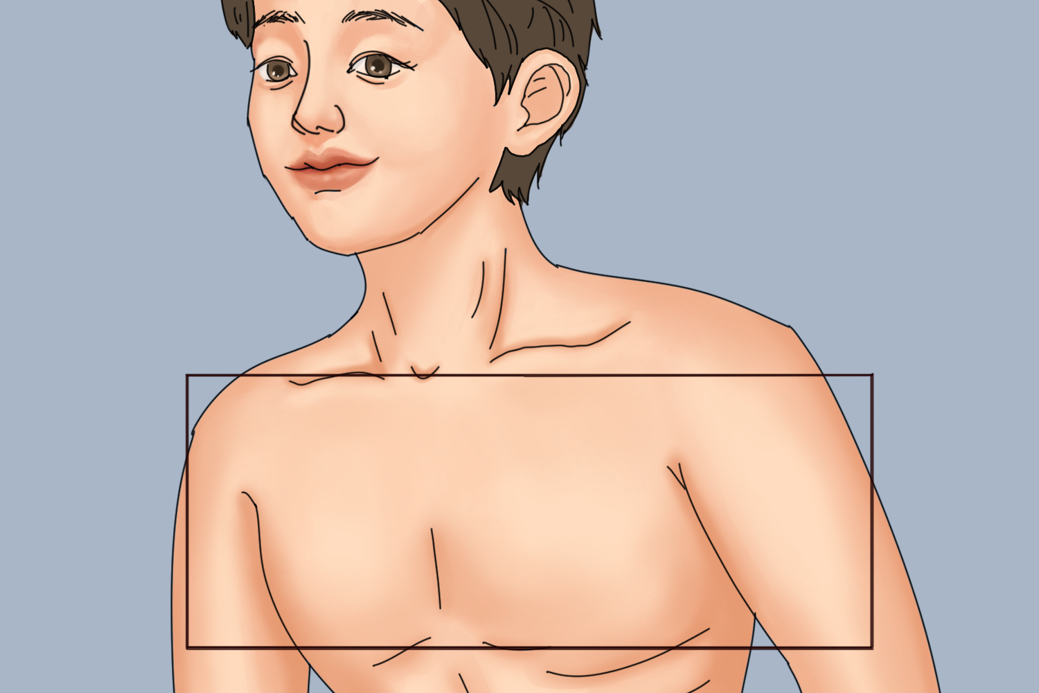 肺泡呼吸音听诊部位图