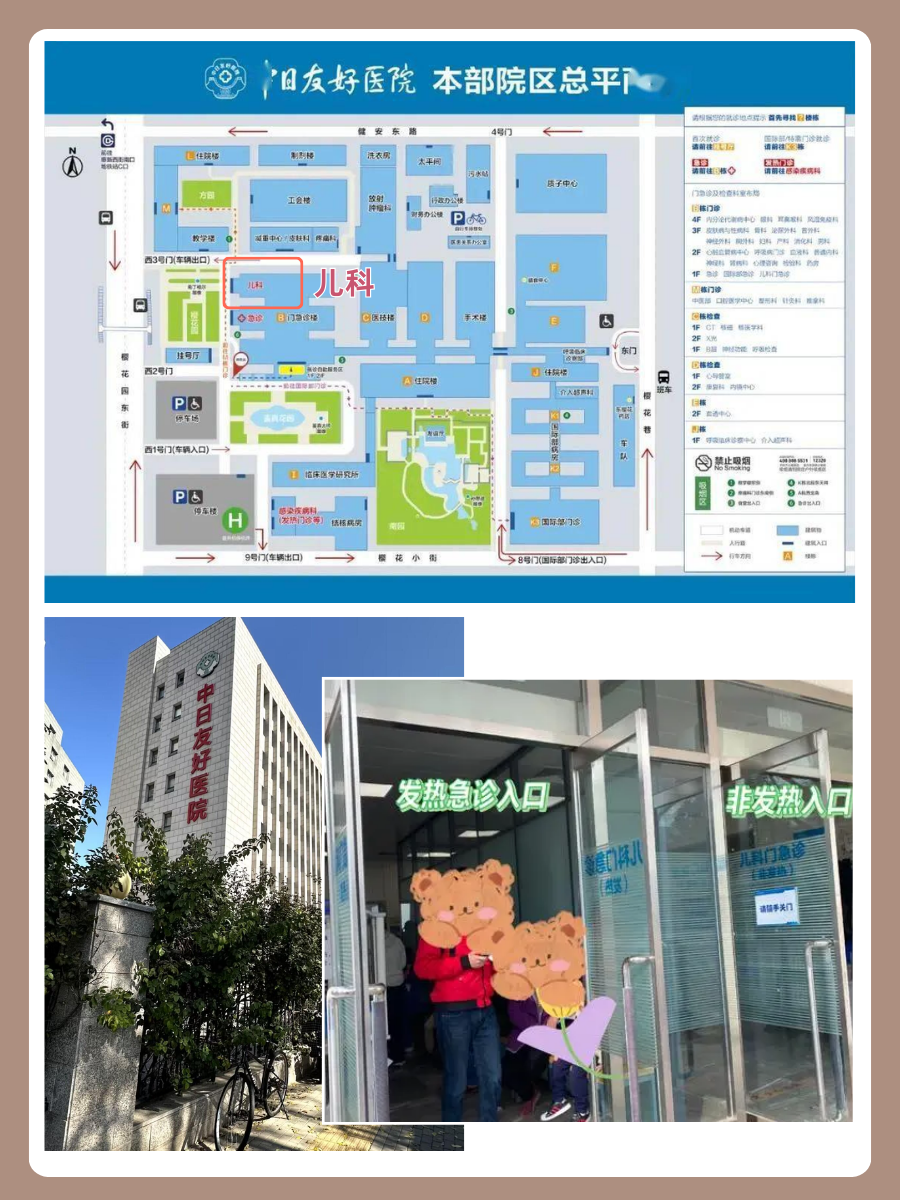 中日友好医院石效平医生怎么样？怎么挂号？