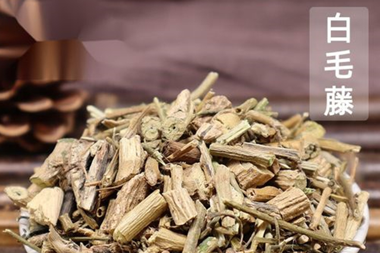 干白毛藤入药图