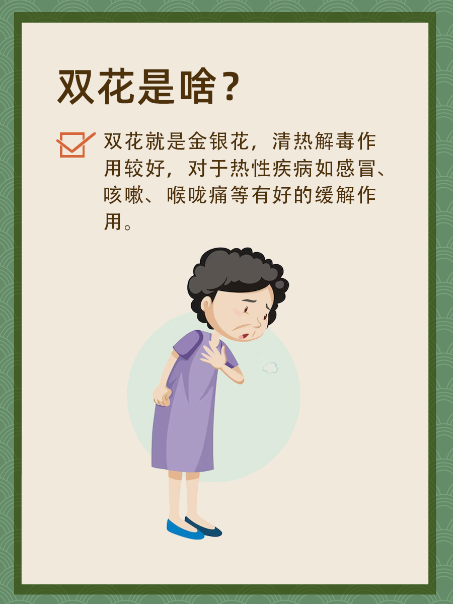 双花是个啥中药材?你知道吗