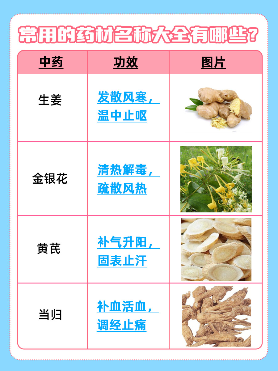 常用中药材名称大全及图片