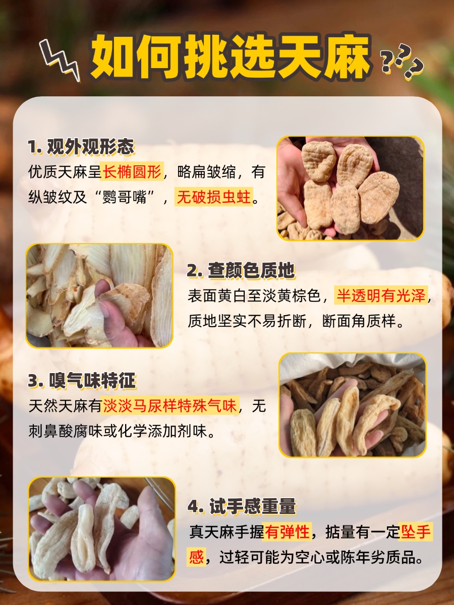 天麻养生有红线?这三种人不宜吃