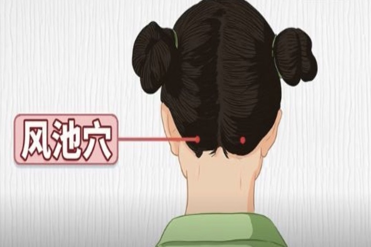 按揉风池穴图