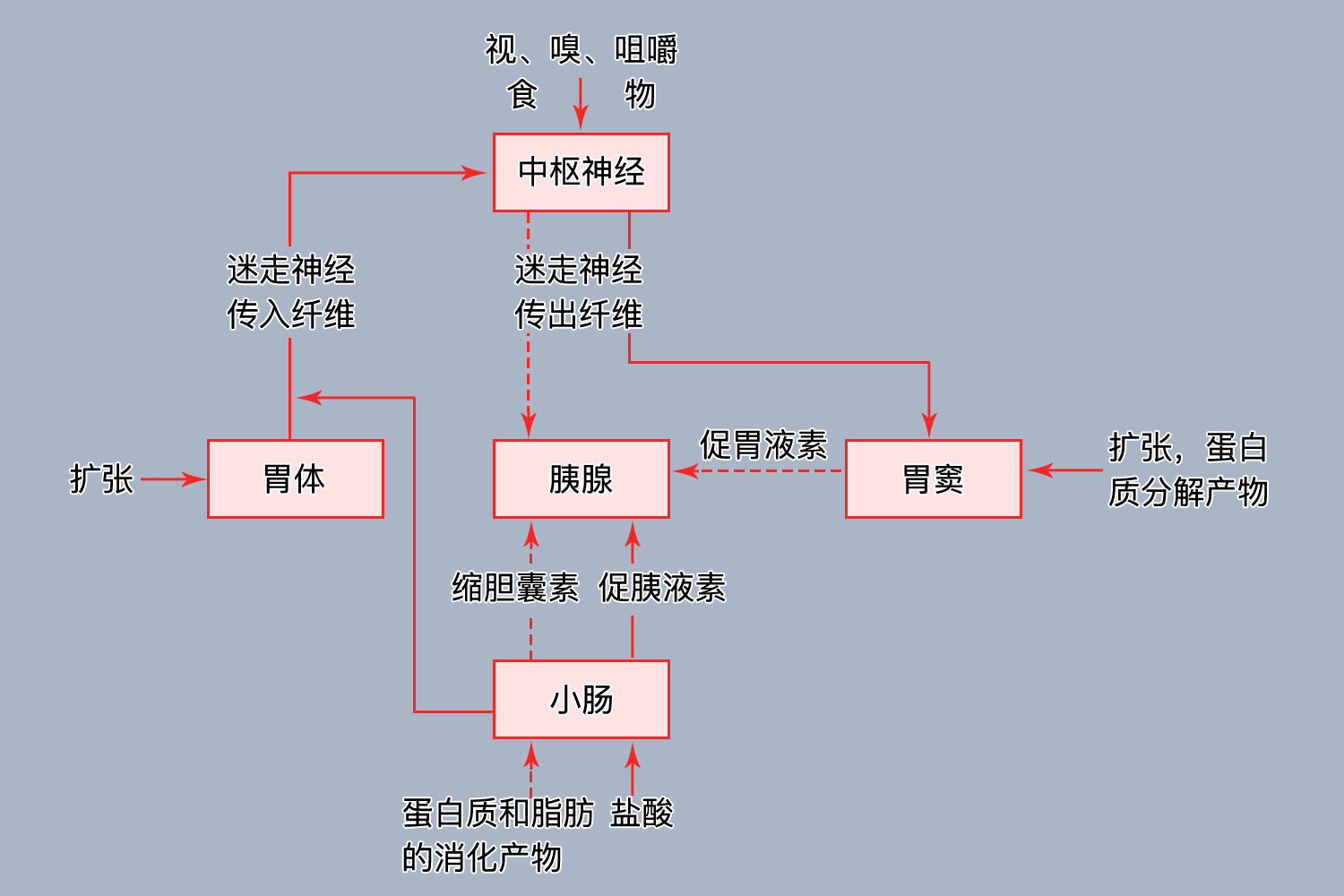 胰腺分泌的调节途径图
