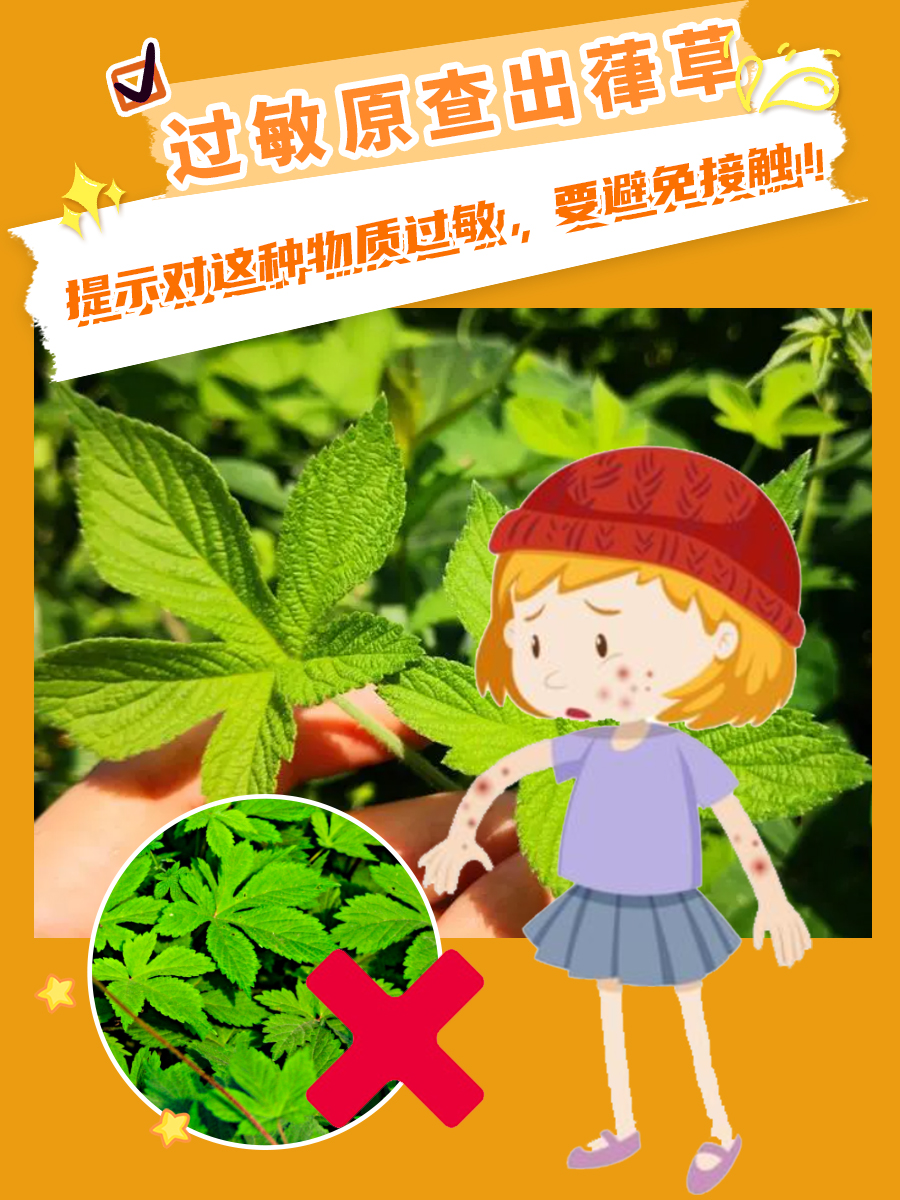 葎草成过敏原？你需要知道的防范知识！