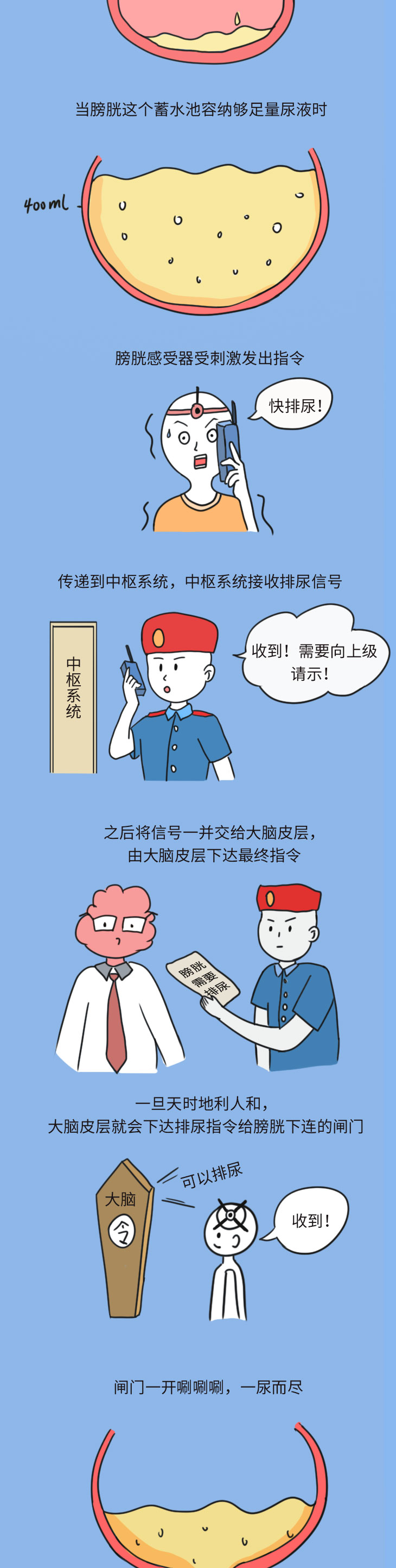 膀胱_03.jpg