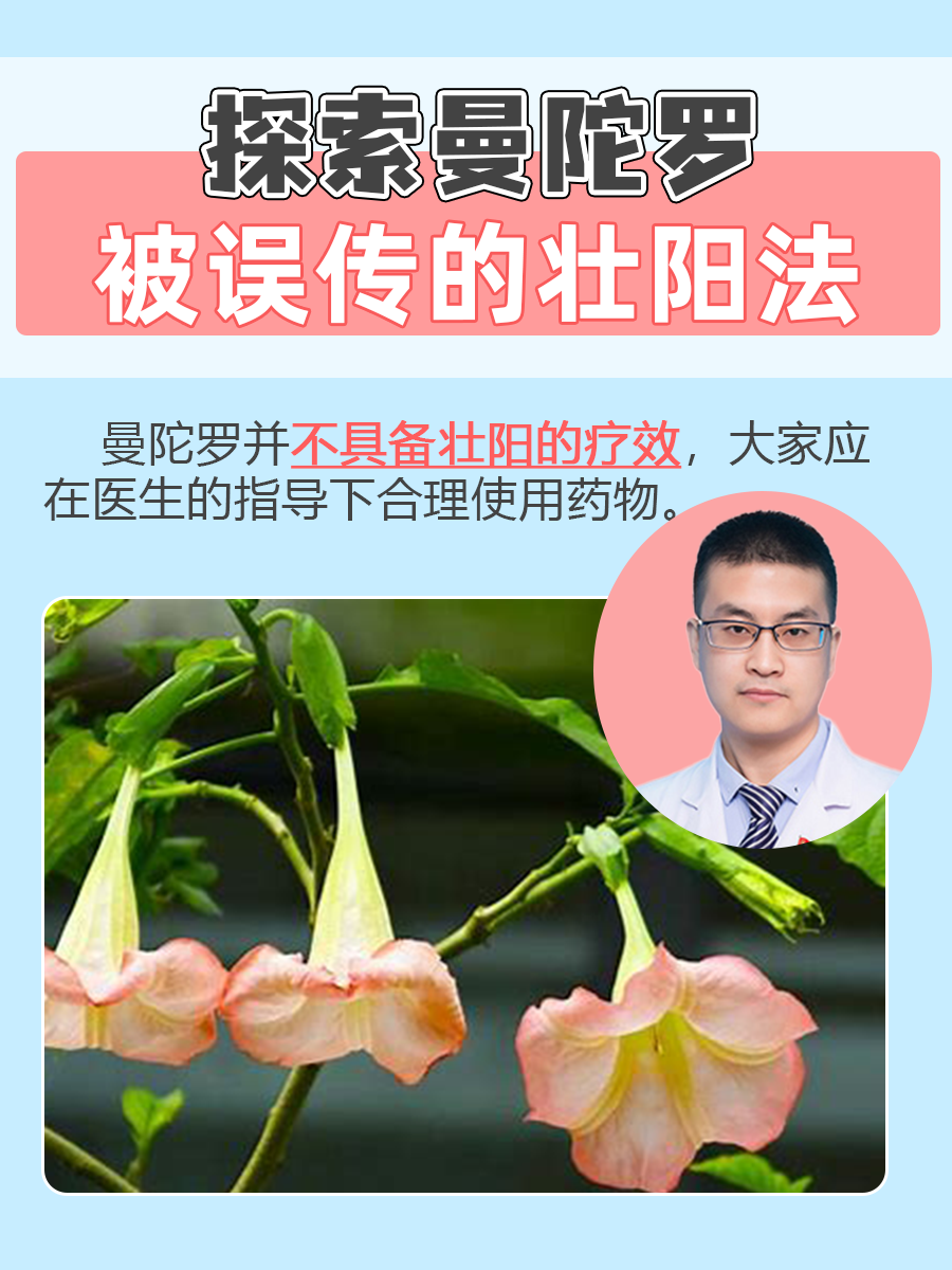 探索曼陀罗被误传的壮阳法