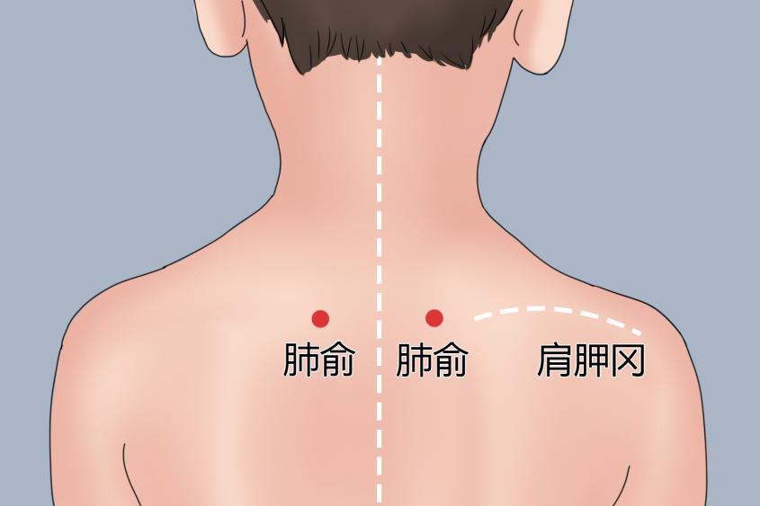 肺俞穴位置图