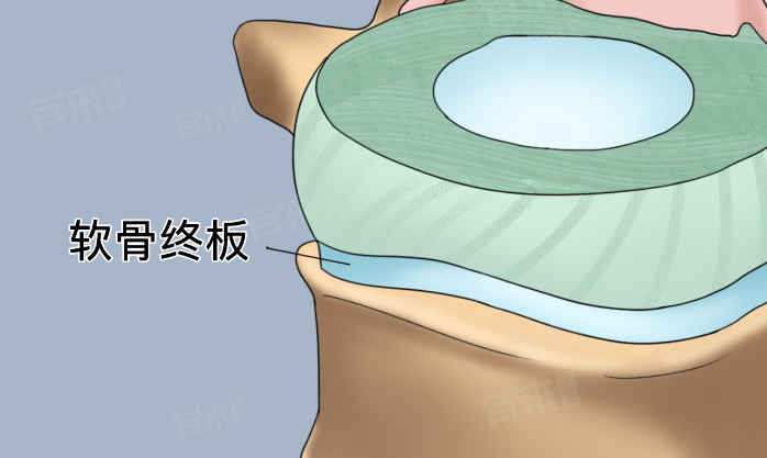 终板炎多久就不疼了-有来医生